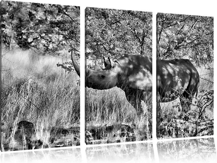 Pixxprint Nashorn in der Savanne als Leinwandbild/Grösse: 3 Teilig (120x80) cm/Wandbild/Kunstdruck/f