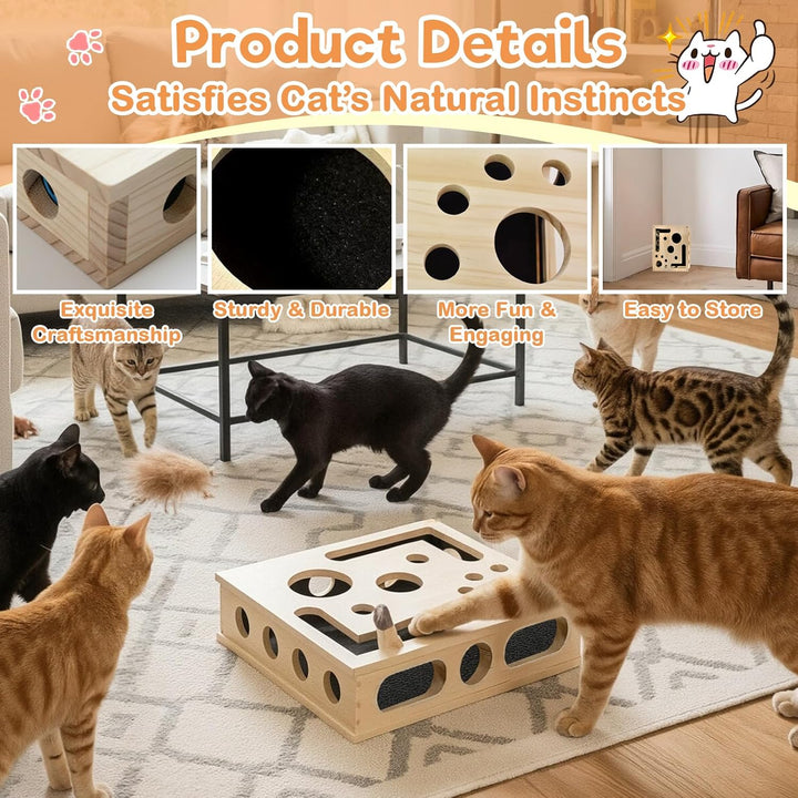 Kratzbretter Katze Katzenkratzpuzzle Anreicherungsbox, Massivholz Katzen Kratzbrett mit Lustigen Löc