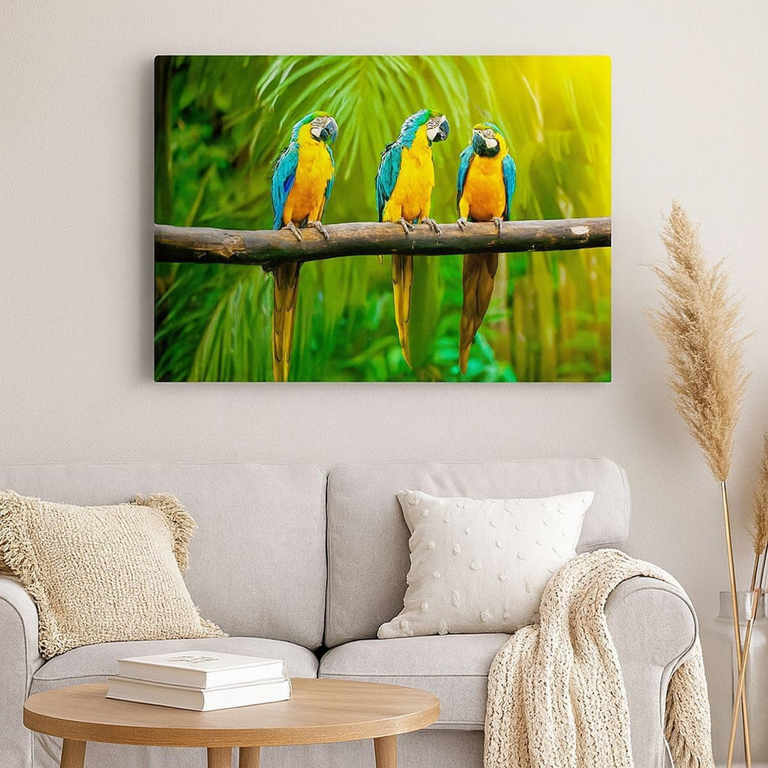 Bilder auf Leinwand 100x70cm Leinwandbild Papageien Collorful Natur Vögel Gross Wanddeko Bild Schlaf