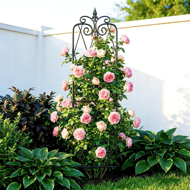 2 Pack 71" H x15 W Trellis,Black Garden Trellis for Climbing Plants Outdoor Metal Frame Sturdy Trell