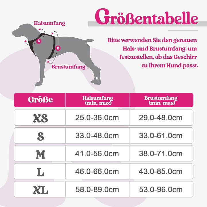 rabbitgoo Hundegeschirr Kleine Hunde, Anti Zug Geschirr mit Kontrolle, No Pull Verstellbar Hundegesc