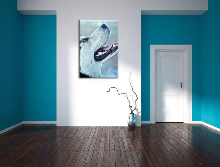 Husky von der Seite, Format: 100x70 auf Leinwand, XXL riesige Bilder fertig gerahmt mit Keilrahmen,