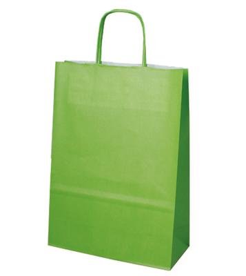 der-verpackungs-profi GmbH 300 Papiertragetaschen mit gedrehter Papierkordel 18+8x22cm Tragetaschen