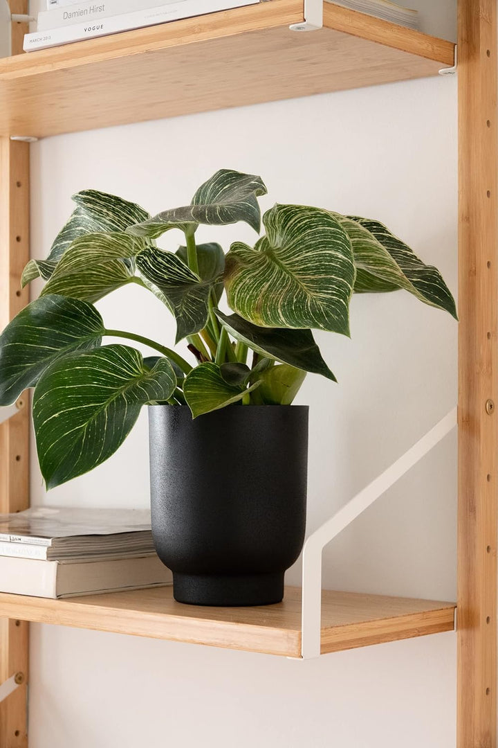 LaLe Living Blumentopf 2er Set Ayaz in Schwarz, Ø13/15 cm