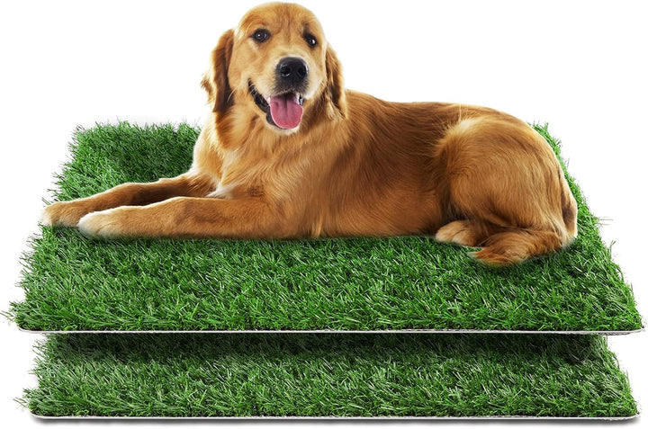 Sailnovo Hundeklo Hundetoilette, Welpentoilette mit 2 Pcs Kunstrasen, 63x50cm Hunde Toilette Welpenk