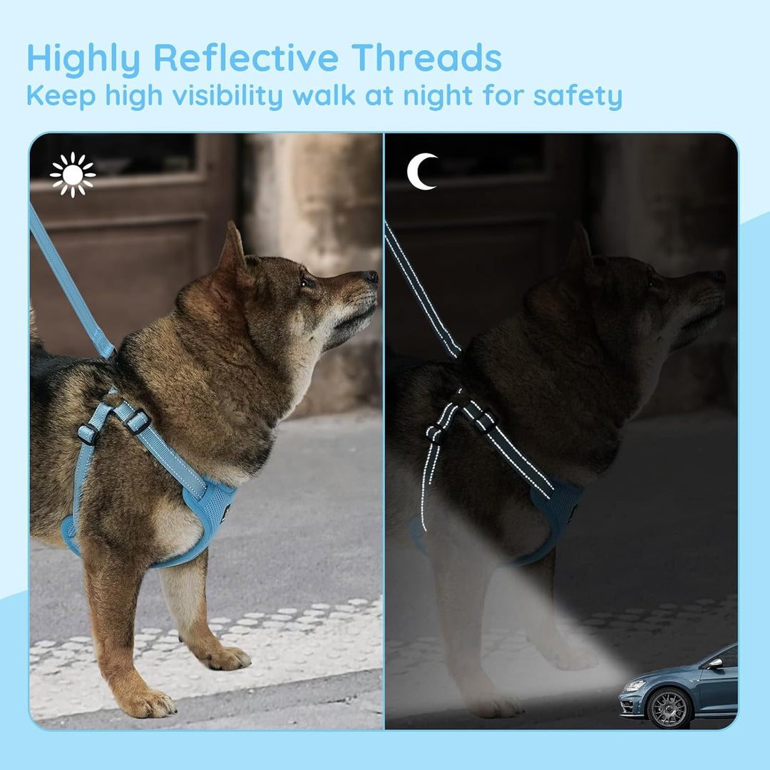 BELLA & PAL Hundegeschirr und Leine Set, Step-in Design mit atmungsaktivem Air-Mesh, reflektierenden