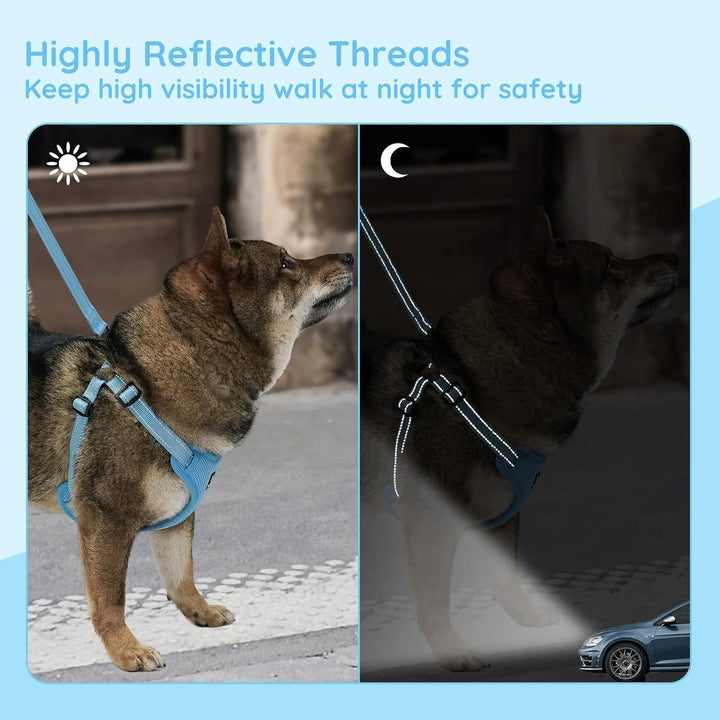 BELLA & PAL Hundegeschirr und Leine Set, Step-in Design mit atmungsaktivem Air-Mesh, reflektierenden