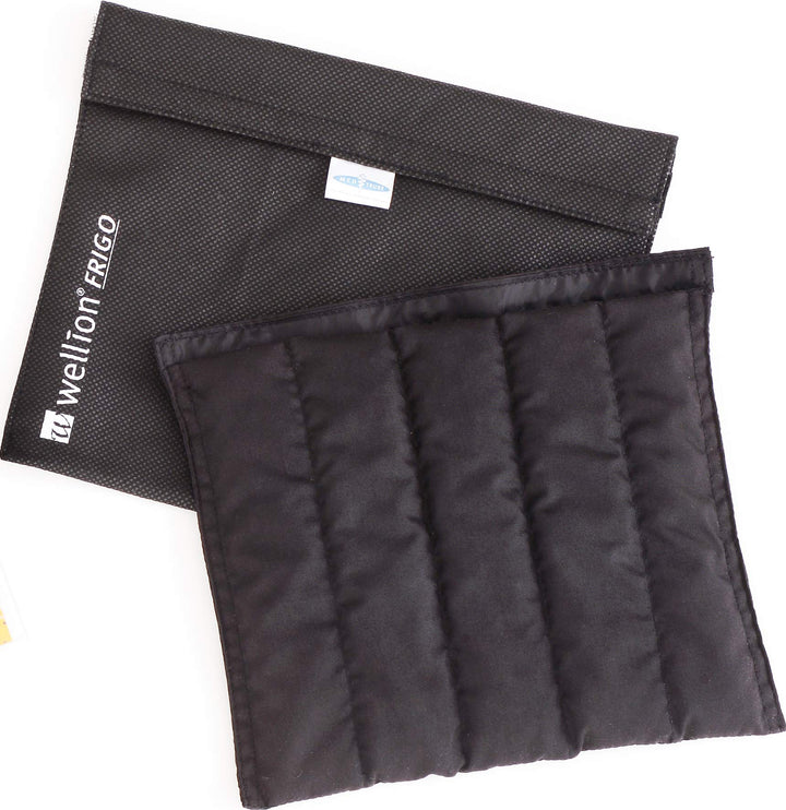 Wellion Frigo XXL Kühltasche