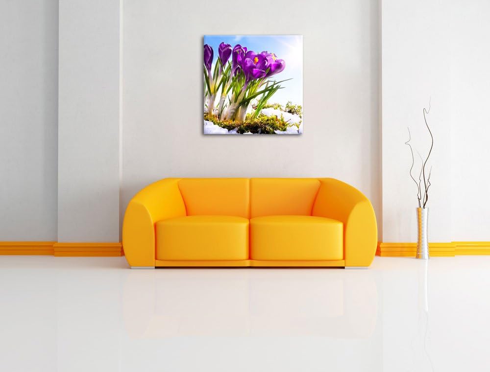 Pixxprint Kunst Frühling Flower Hintergrund als Leinwandbild | Grösse: 70x70 cm | Wandbild | Kunstdr