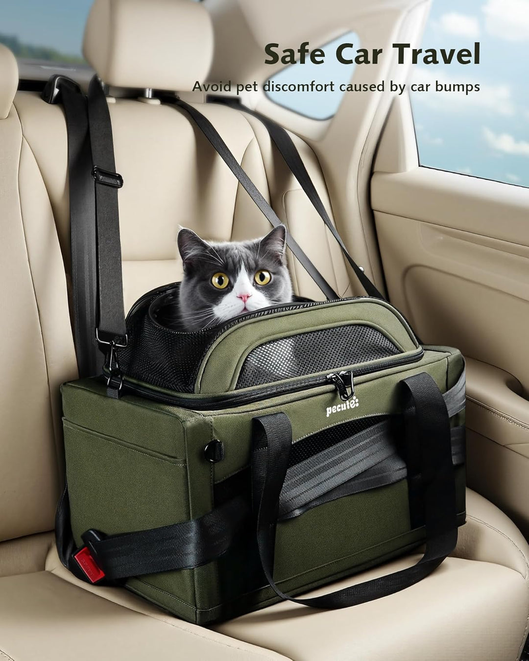 pecute Katzentasche Flugzeug Transporttasche Stabiler Halt Haustier Tragetasche, Transportbox Katze