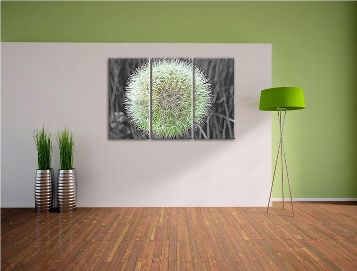 klassische zarte Pusteblume schwarz/weiss Deluxe 3-Teiler Leinwandbild 120x80 Bild auf Leinwand, XXL