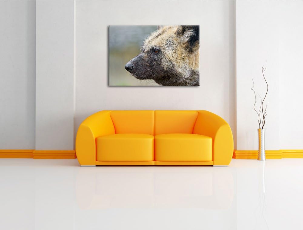 Pixxprint Hyäne im Seitenprofil auf Leinwand, XXL riesige Bilder fertig gerahmt mit Keilrahmen, Kuns