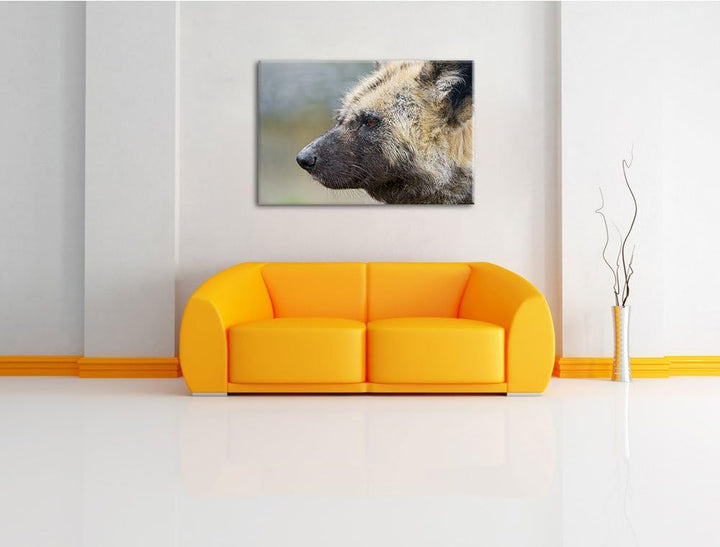 Pixxprint Hyäne im Seitenprofil auf Leinwand, XXL riesige Bilder fertig gerahmt mit Keilrahmen, Kuns