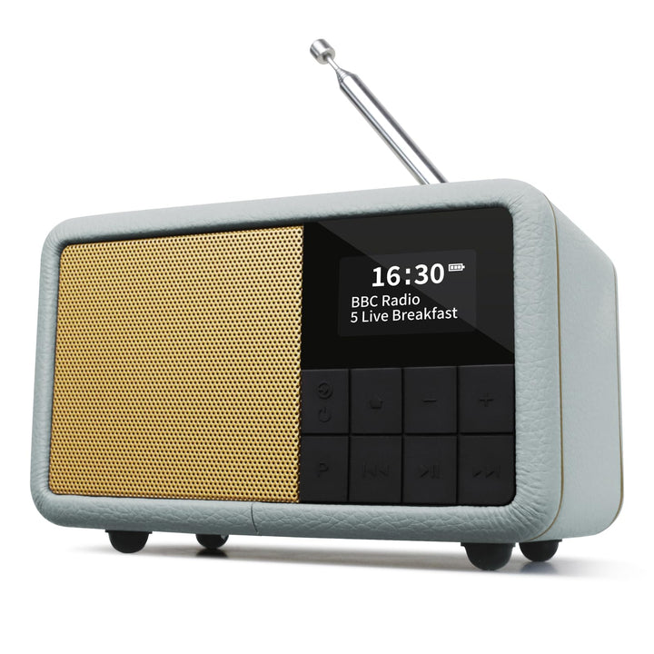 LEMEGA CR7 Tragbares Mini DAB Radio mit Bluetooth（Akku mit bis zu 12 Stunden Laufzeit,UKW,IPX4 wasse