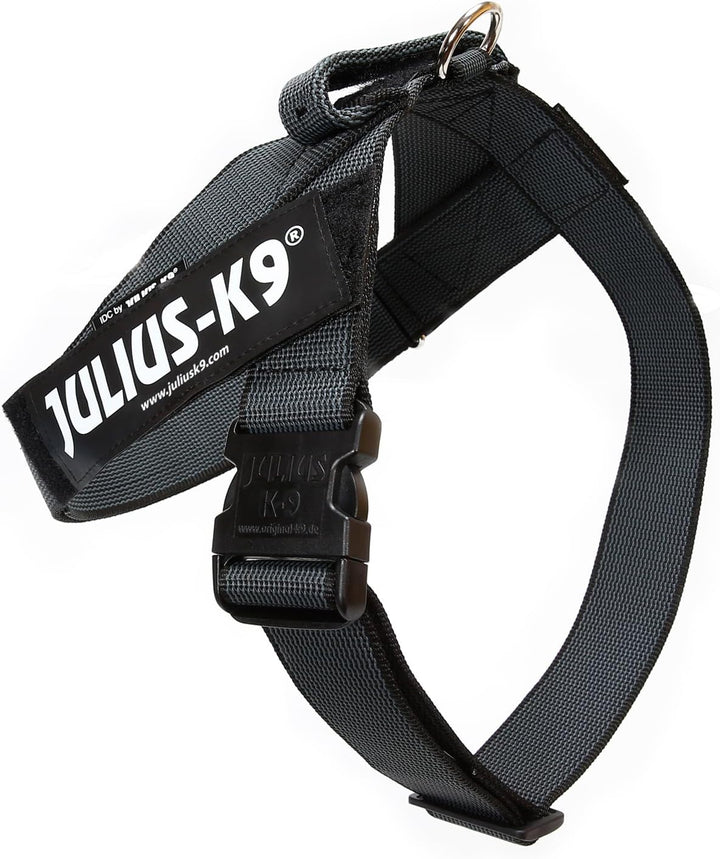 Julius-K9, Color & Gray, Beltgeschirr XL / 2 schwarz-grau, XL / 2 schwarz-grau