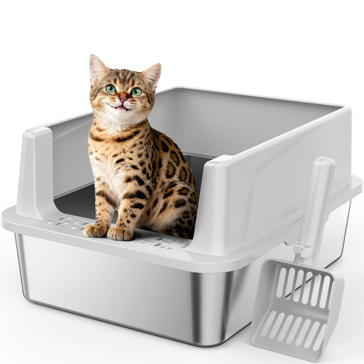MIXJOY Katzenklo Edelstahl, Katzentoilette Edelstahl 18L Klein für Kätzchen - Offenes Design, Hoher