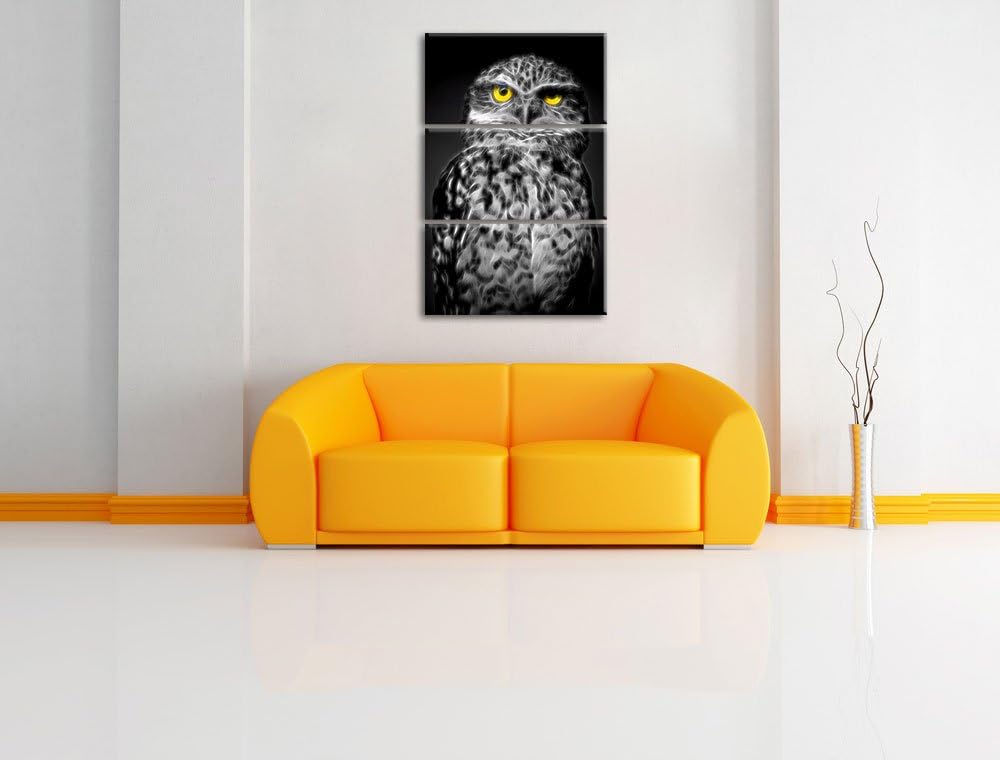 Dark kleine scheue Eule schwarz/weiss Deluxe 3-Teiler Leinwandbild 120x80 Bild auf Leinwand, XXL rie