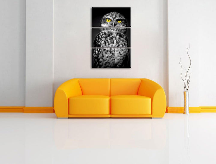 Dark kleine scheue Eule schwarz/weiss Deluxe 3-Teiler Leinwandbild 120x80 Bild auf Leinwand, XXL rie