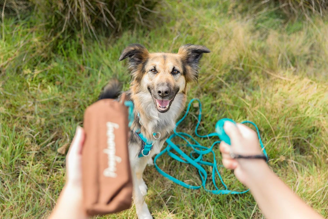 Trixie 32191 Dog Activity Preydummy, ø 6 × 14 cm, braun, Braun 6 × 14 cm