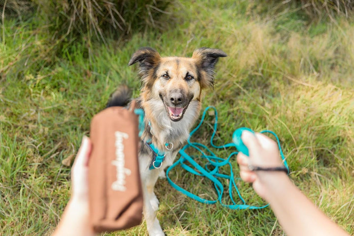 Trixie 32191 Dog Activity Preydummy, ø 6 × 14 cm, braun, Braun 6 × 14 cm
