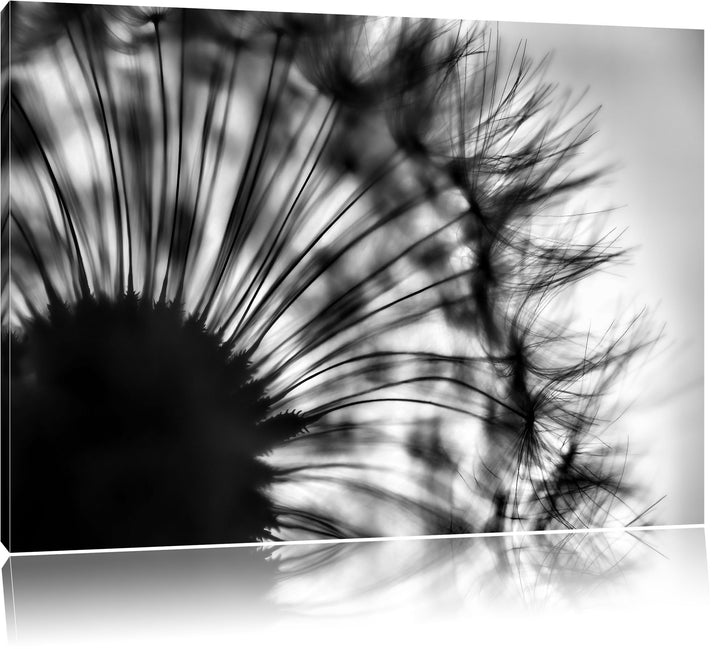 Pixxprint Monocrome, Pusteblume vor grauem Hintergrund, Format: 100x70 auf Leinwand, 100x70