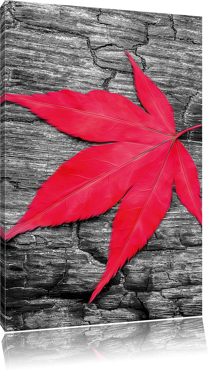 Pixxprint Rotes Ahornblatt im Herbst / 100x70cm Leinwandbild bespannt auf Holzrahmen/Wandbild Kunstd