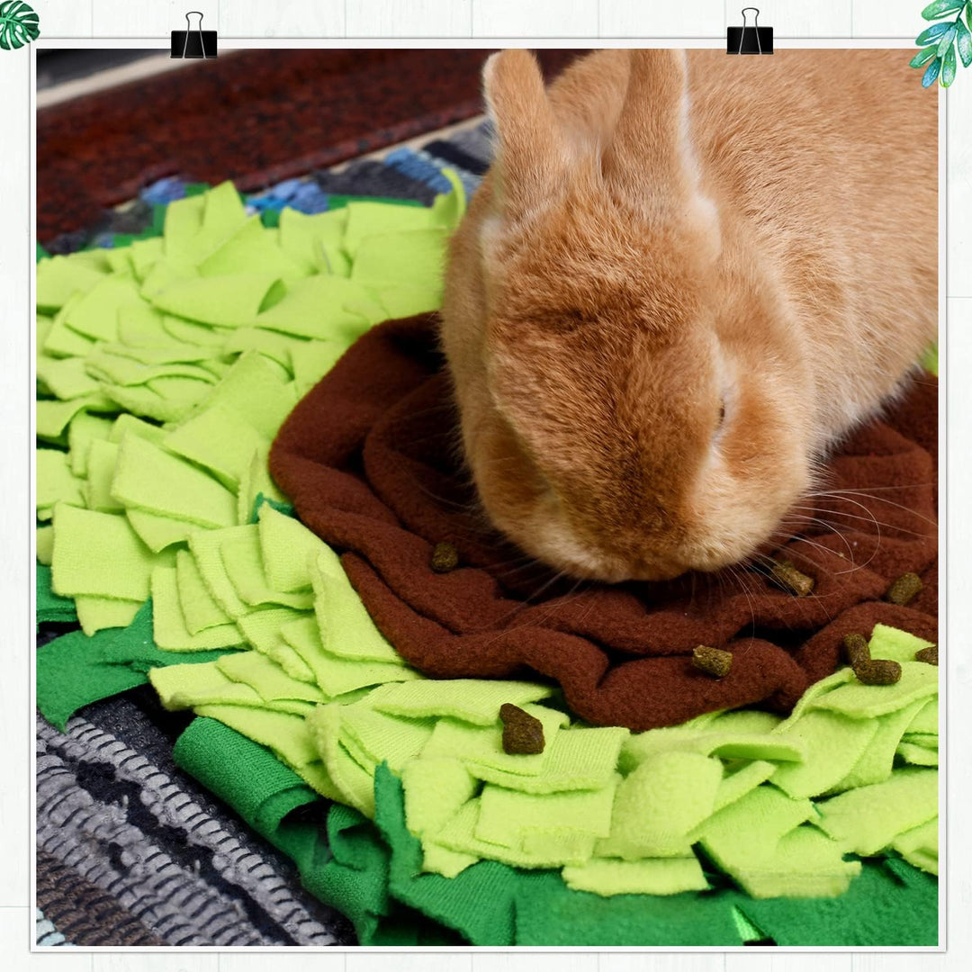 Schnüffelteppich Hund Futtermatte Schnüffeldecke Hundespielmatte - Hundematte Snuffle Pad in Avocado