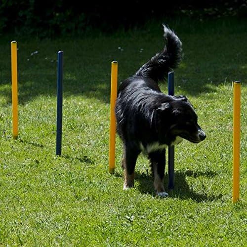 Procyon Dog Agility XXL-Set