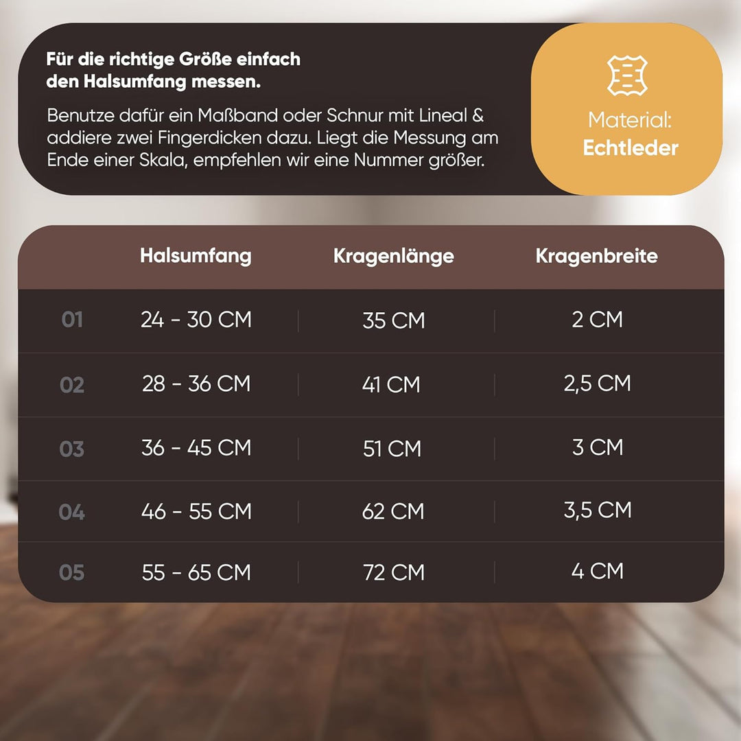 Michur Minimo Hundehalsband Leder, Lederhalsband Hund, Halsband, Braun, Leder, in verschiedenen Grös