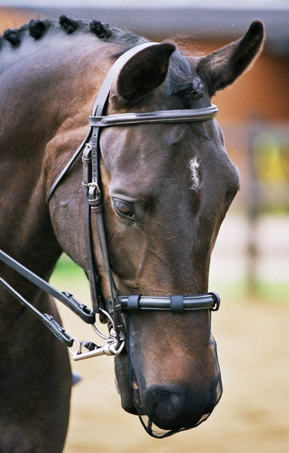 Equilibrium Net Relief for Head Shakers Muzzle Fly Mask, M/L