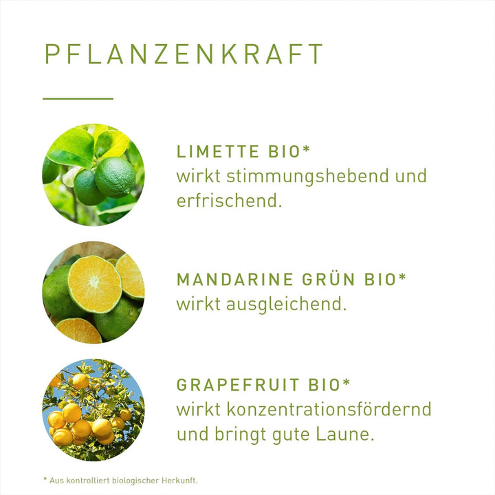 PRIMAVERA Zitrusfreude Aroma Sauna bio 100 ml – Saunaöl, Aromatherapie - spritzig-fruchtiger Duft –