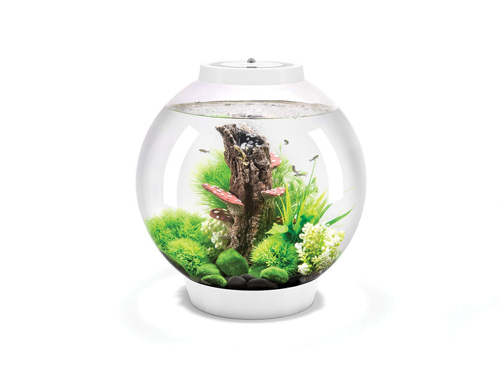 biOrb 72007 CLASSIC 30 LED weiss - dekoratives Aquarium Komplett-Set mit Filter-System, LED-Beleucht