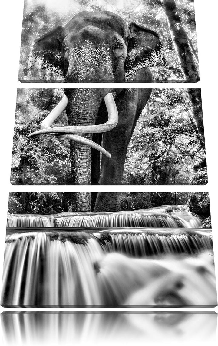 Pixxprint Elefant am Bach als Leinwandbild/Grösse: 3 Teilig (120x80) cm/Wandbild/Kunstdruck/fertig b