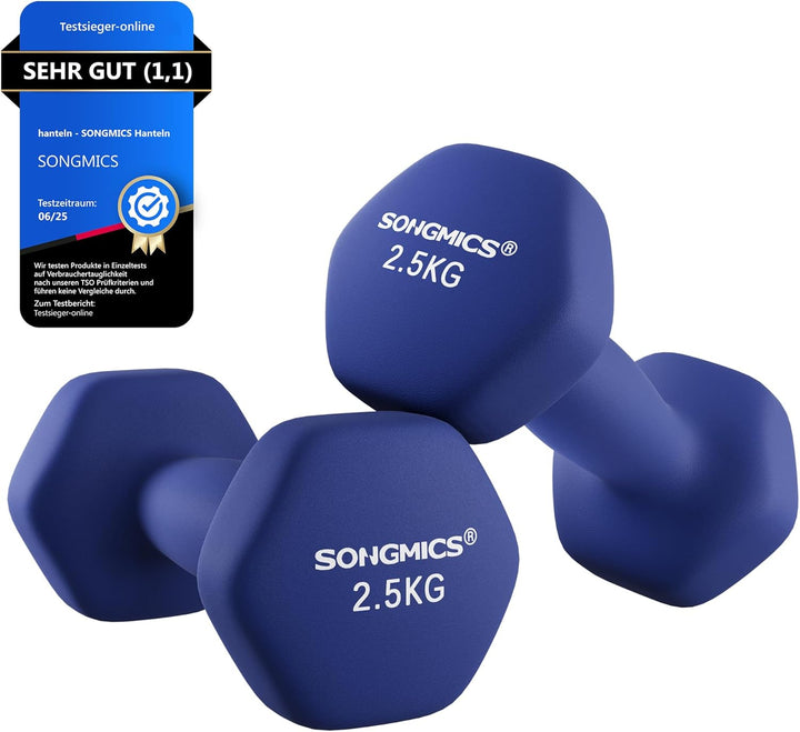 SONGMICS Hanteln, 2er Set,Hantelset, Kurzhanteln, Hexagon, Neopren-Beschichtung, Krafttraining, Work
