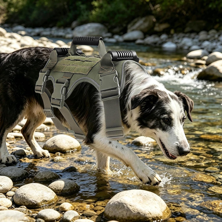 Taktisches Hundegeschirr Nylon reflektierend für grosse Hunde (Armeegrün) | Robustes Hundegeschirr A
