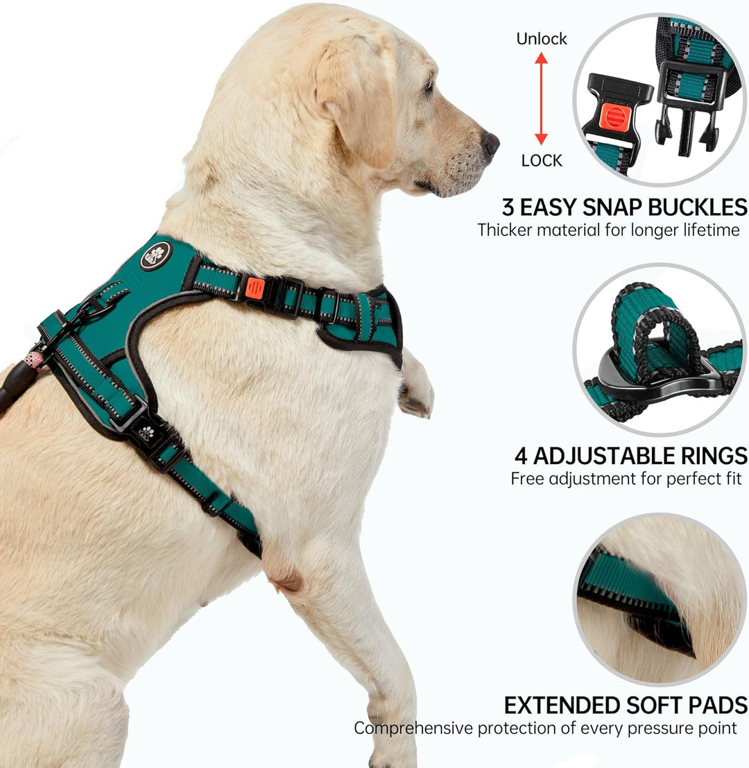 NESTROAD Anti Zieh Hundegeschirr Grosse Hunde Leine Geschirr Set,für Hunde Grosse mit Halsumfang 43~