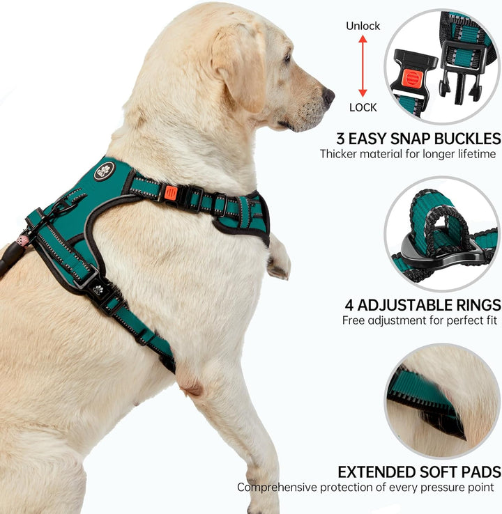 NESTROAD Anti Zieh Hundegeschirr Grosse Hunde Leine Geschirr Set,für Hunde Grosse mit Halsumfang 43~