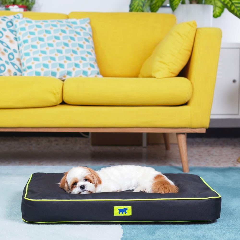 FERPLAST Hundematte & Katzenmatte Klein - Orthopädisches Hundebett - Hundebett Waschbar & Kratzfest