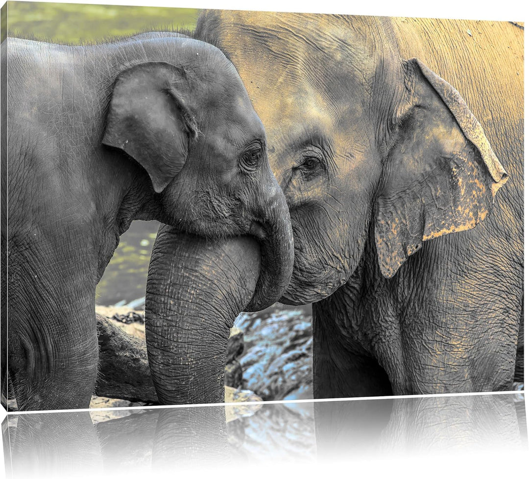 Pixxprint Elefantenmutter mit Kalb / 100x70cm Leinwandbild bespannt auf Holzrahmen/Wandbild Kunstdru