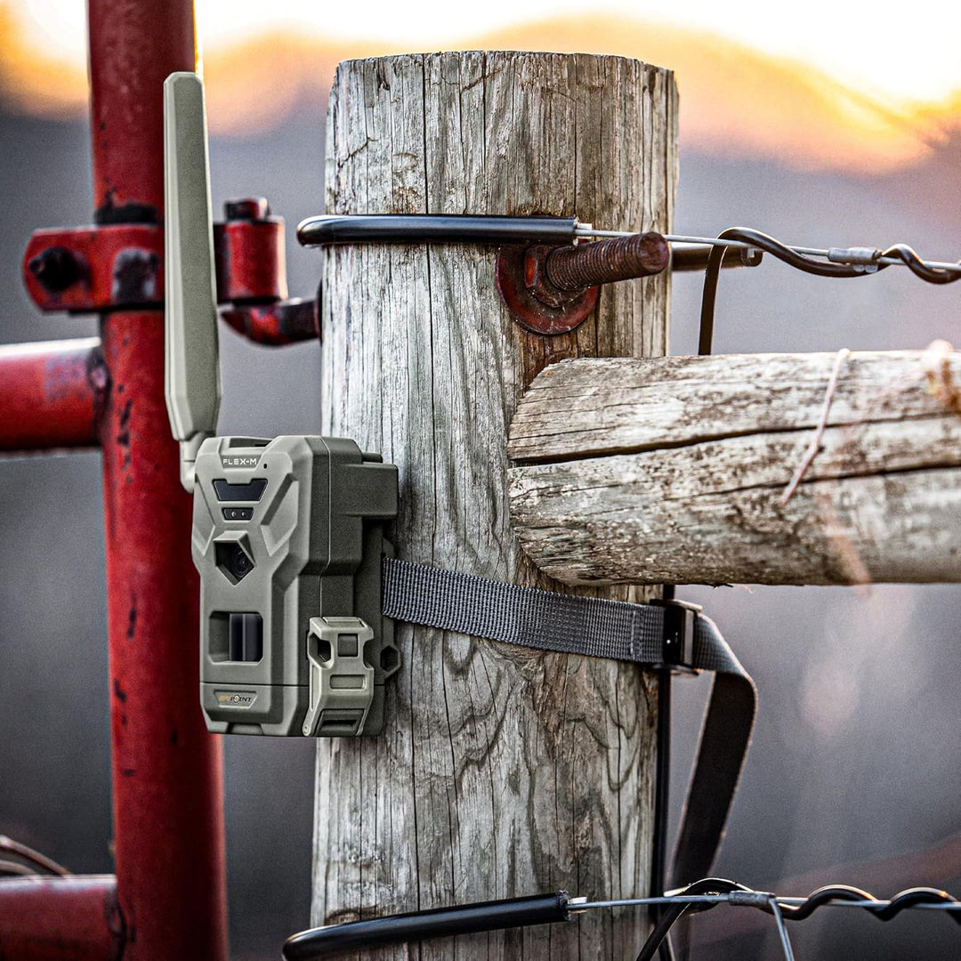 Spypoint FLEX-M - Wildkamera mit Foto- & Videoübertragung, 28 Megapixel, Wildtierkamera mit Nachtsic