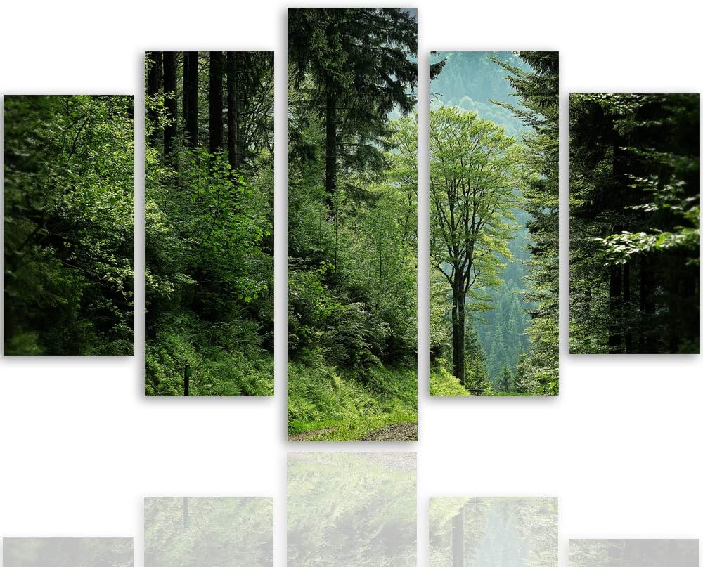 Feeby Bild auf Leinwand Landschaft 5 Teilig Modern Natur Wald Bäume grün 200x100 cm Leinwandbild 200
