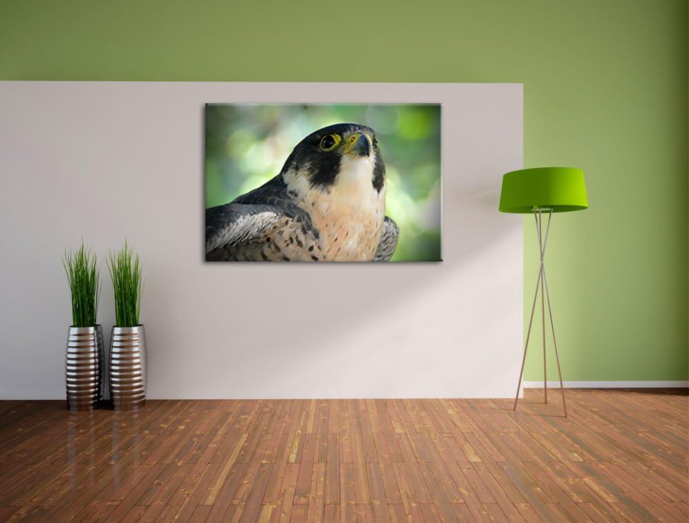 Pixxprint schöner Grauer Adler auf Leinwand, XXL riesige Bilder fertig gerahmt mit Keilrahmen, Kunst