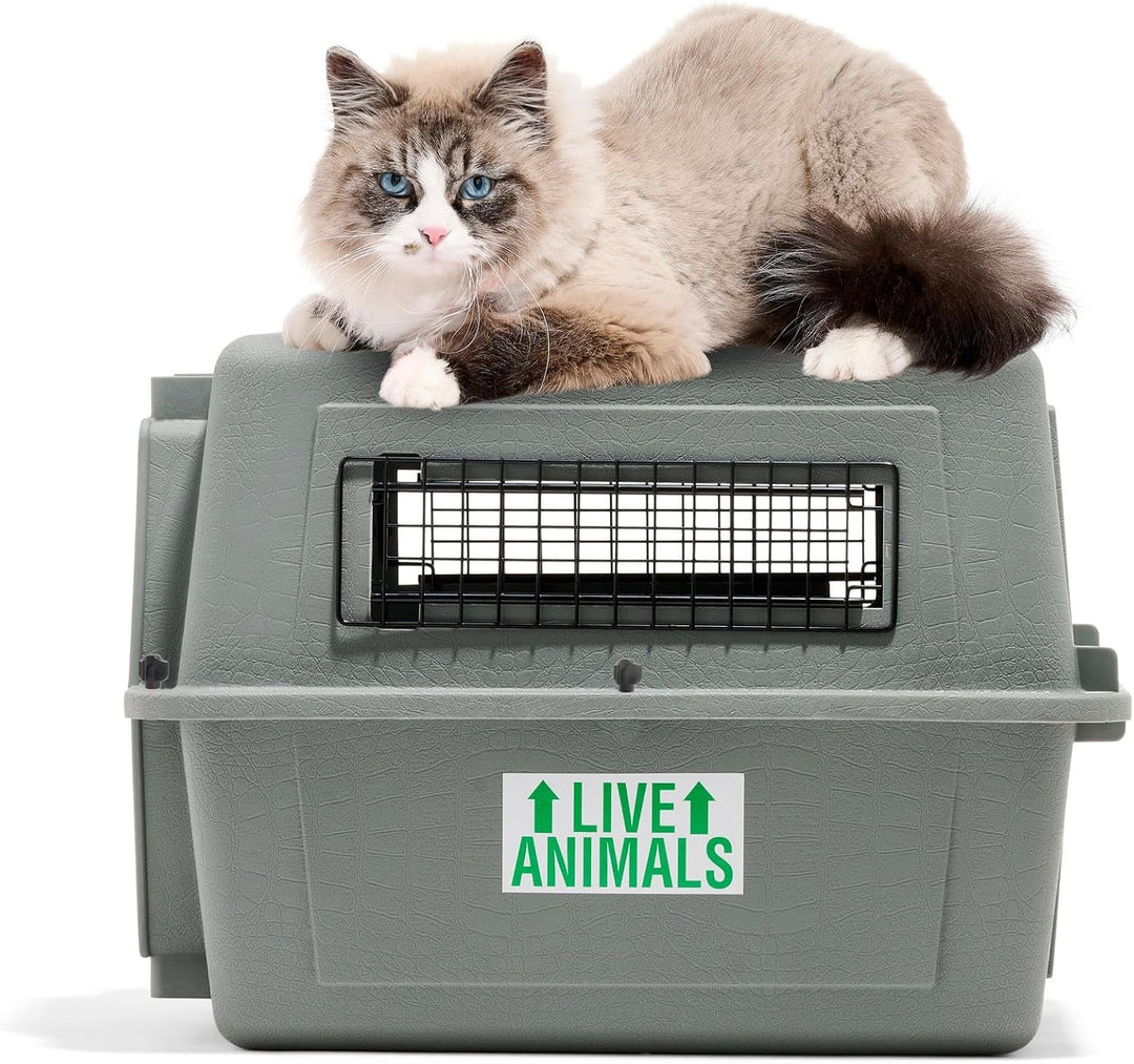 Beeztees 715563 Skykennel Nr 1, 53 x 40 x 38 cm, grau