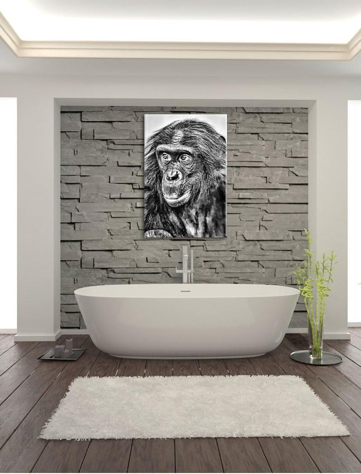 Pixxprint scheuer junger Gorilla als Leinwandbild/Grösse: 100x70 cm/Wandbild/Kunstdruck/fertig bespa