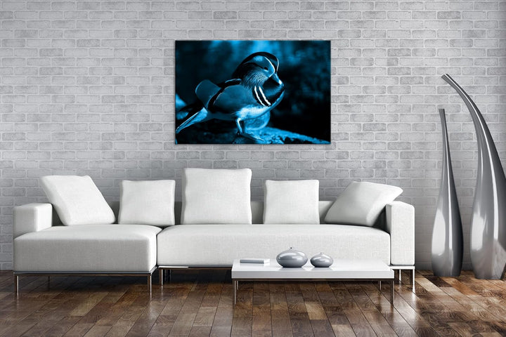 deyoli niedliche Holzente Format 100x70 Effekt: Monocrome Blau als Leinwandbild, Motiv fertig gerahm