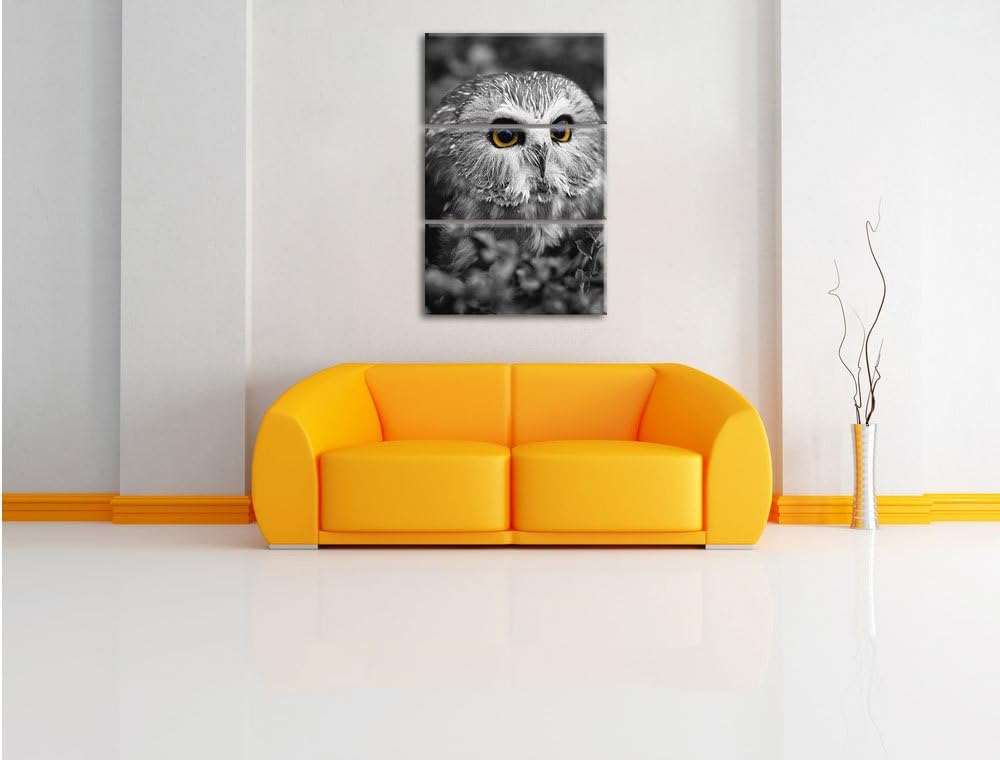 Pixxprint junger Kauz im Vogelbeerstrauch schwarz/weiss 3-Teiler Leinwandbild 120x80 Bild auf Leinwa