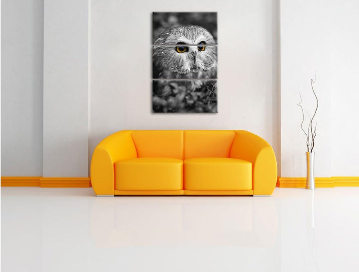 Pixxprint junger Kauz im Vogelbeerstrauch schwarz/weiss 3-Teiler Leinwandbild 120x80 Bild auf Leinwa