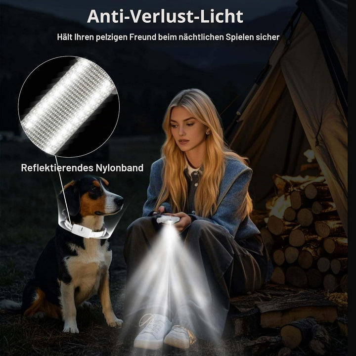 Generisch Erziehungshilfen,Ideal auch für Agility-Training.Praktische Hundeerziehungshilfen,Das Hund
