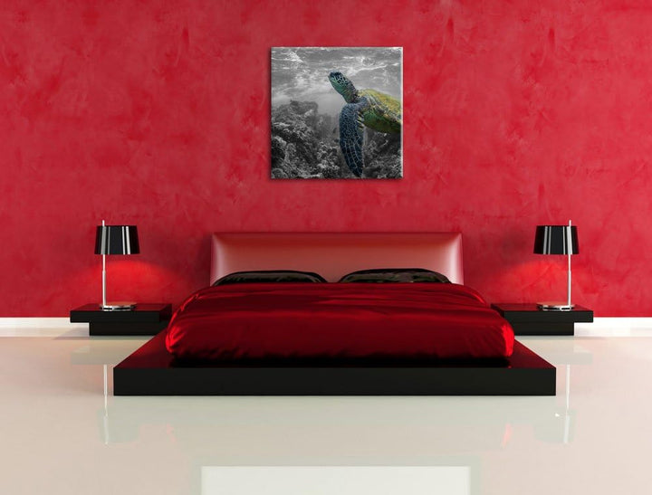 Pixxprint Schildkröte und Korallen im Ozean / 70x70cm Leinwandbild bespannt auf Holzrahmen/Wandbild