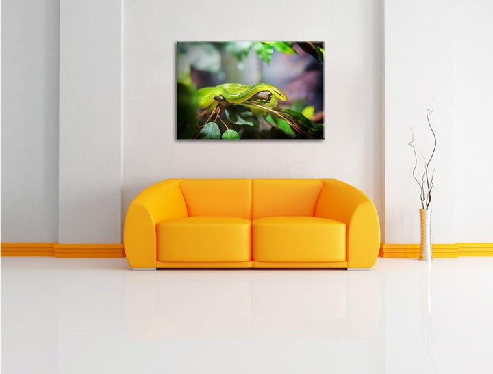 Raue grüne Schlange, Format: 100x70 auf Leinwand, XXL riesige Bilder fertig gerahmt mit Keilrahmen,